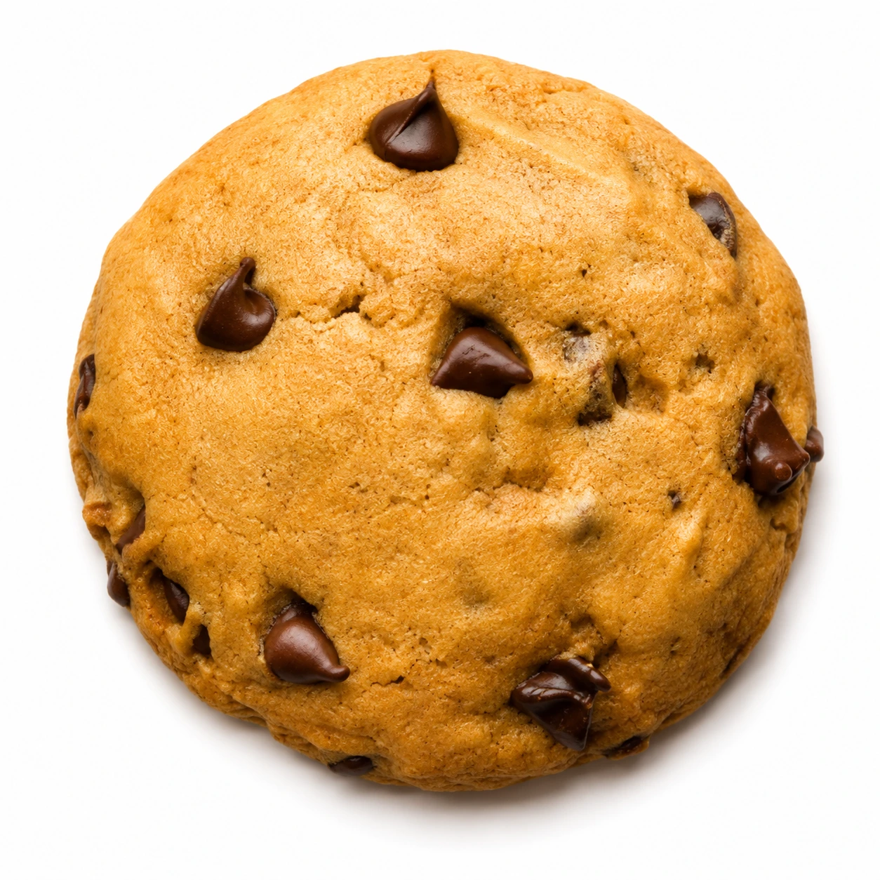 Pumpkin Chocolate Chip Crumbl Cookie